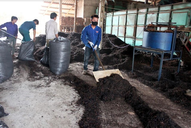 HTX tạo việc làm thường xuyên cho 30 lao động địa phương với mức thu nhập đạt 7 triệu đồng/người/tháng (Ảnh: Tư liệu)