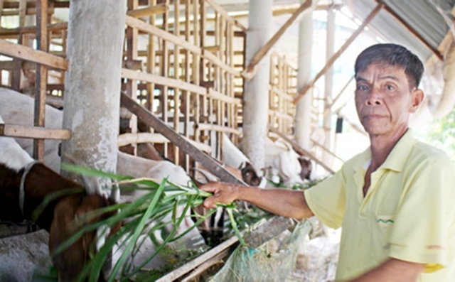 Đời sống của người dân xã Mỹ Lộc đang được nâng lên nhờ các chương trình của NTM (Ảnh Tư liệu)