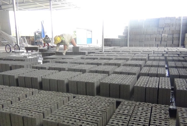 Người lao động có vai trò quan trọng trong sự phát triển của HTX (Ảnh: TL)