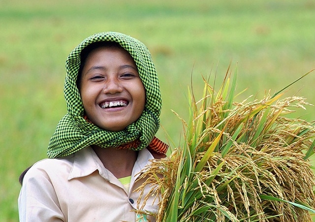 Người nông dân vui mừng khi tham gia HTX trồng lúa hữu cơ (Ảnh: TL)