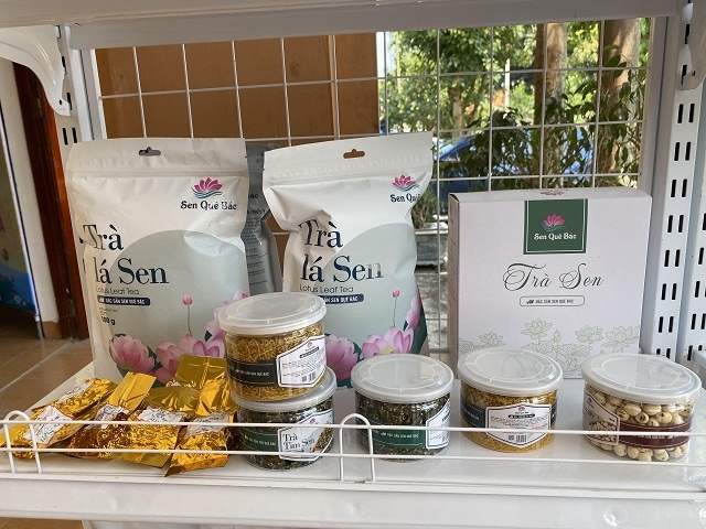 HTX đã cho ra đời 8 sản phẩm chế biến sâu về sen, trong đó đã có 3 sản phẩm đạt OCOP của huyện Nam Đàn