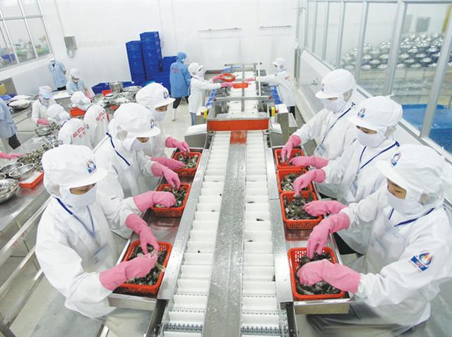 Mỹ tăng mạnh mua tôm từ Việt Nam (Ảnh Internet)