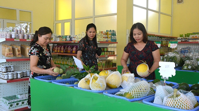 Các sản phẩm OCOP tỉnh Nam Định bày bán tại các cửa hàng giới thiệu sản phẩm thu hút sự quan tâm của người tiêu dùng