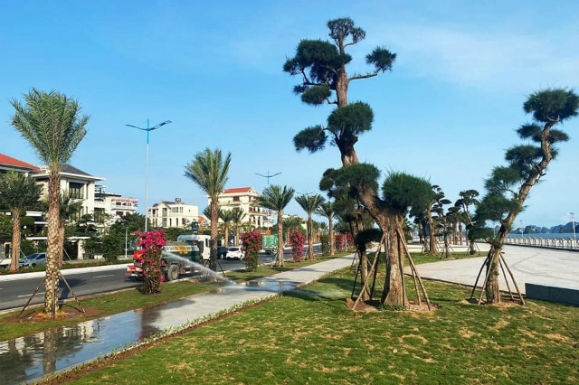 Người nước ngoài không thuộc đối tượng sở hữu đất