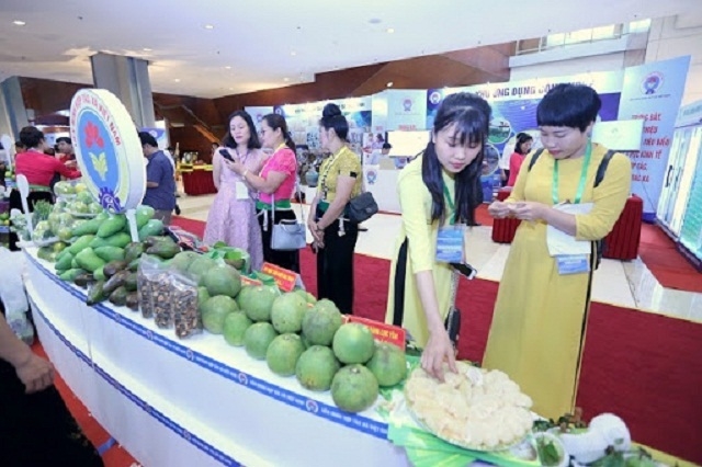 Chính sách thuế đã tạo điều kiện để HTX tăng thêm nguồn tài chính nhằm đẩy mạnh đầu tư phát triển (Ảnh: TL)