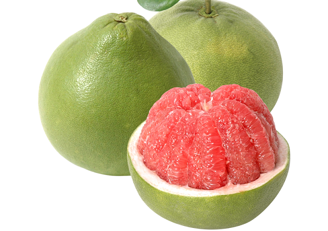 THT Khánh Vĩnh góp phần phát triển thương hiệu bưởi da xanh của địa phương (Ảnh: TL)