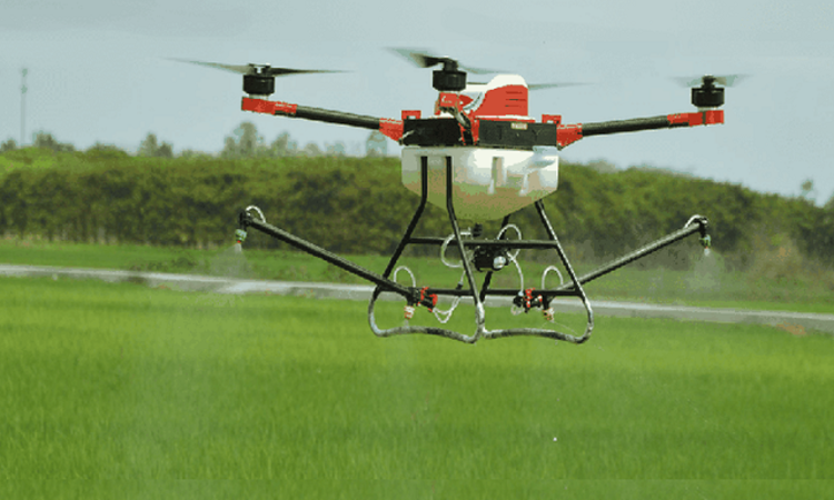 Phun thuốc trừ sâu bằng... máy bay không người lái