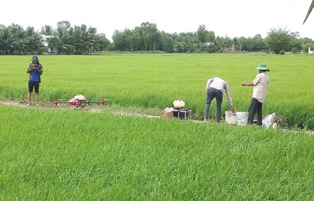 Sử dụng máy bay không người lái phun thuốc trừ sâu phù hợp với xu thế công nghệ hóa trong phát triển nông nghiệp hiện nay (Ảnh: TL)
