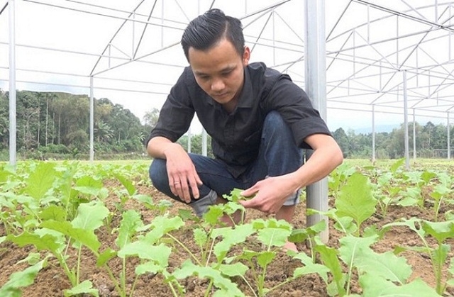 Anh Khánh đang chăm sóc rau tại trang trại (Ảnh: TL)