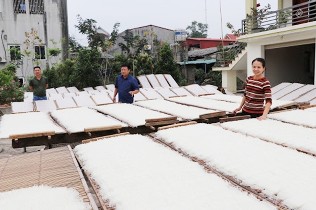 Các HTX đang chủ động phát triển theo hướng hiện đại để phát triển bền vững (Ảnh TL)