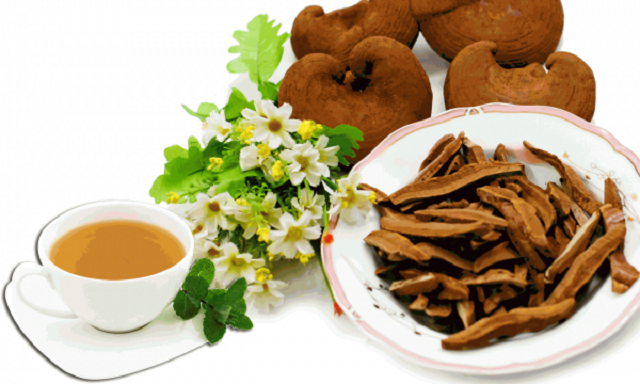 Nấm linh chi Hoàng Hải cắt sẵn (Ảnh: TL)