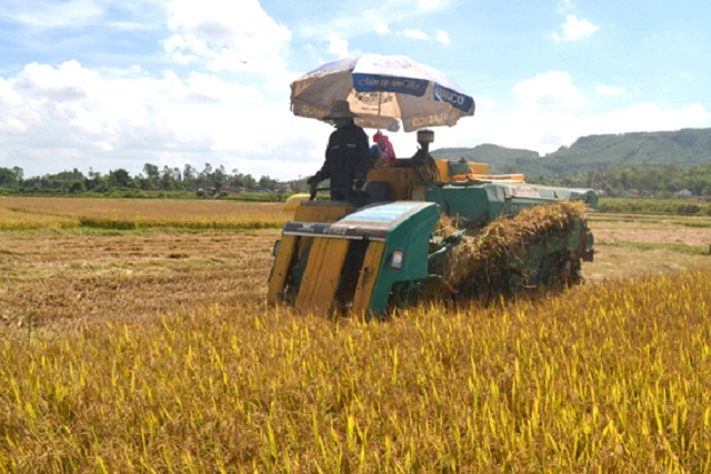 Ứng dụng KHKT vào sản xuất nông nghiệp để xây dựng NTM ở Tịnh Trà (Ảnh: TL)