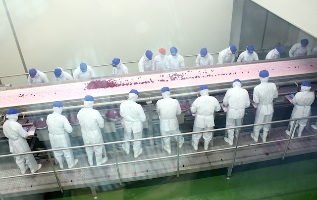 Gia tăng chế biến, nâng cấp nông sản thì doanh thu của DN càng ổn định