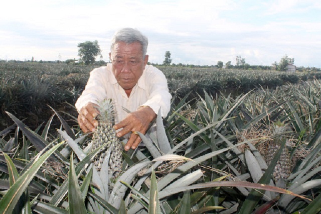 Cần mở đường cho tích tụ ruộng đất (Ảnh: TL)