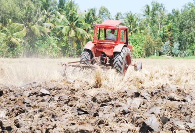 Hiệu quả của khối kinh tế hợp tác, HTX thúc đẩy tam nông của huyện chuyển dịch theo hướng hiện đại (Ảnh TL)