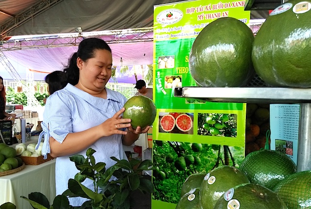 Nguồn lao động trẻ ở nông thôn giúp cho nhiều HTX ở Bến Tre khởi sắc