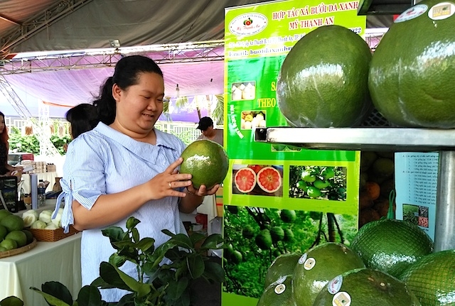 Nguồn lao động trẻ ở nông thôn giúp cho nhiều HTX ở Bến Tre khởi sắc