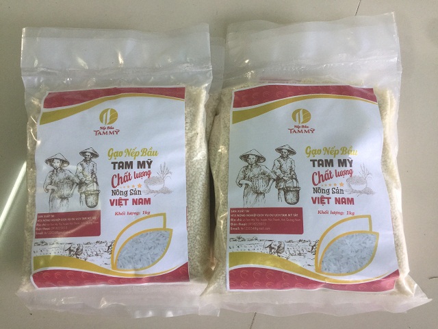 Nếp bầu Tam Mỹ được đánh giá 3 sao OCOP cấp tỉnh (Ảnh: TL)