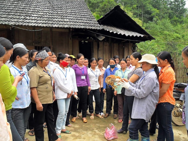 Các chương trình đào tạo nghề gắn với nhu cầu thiết thực.