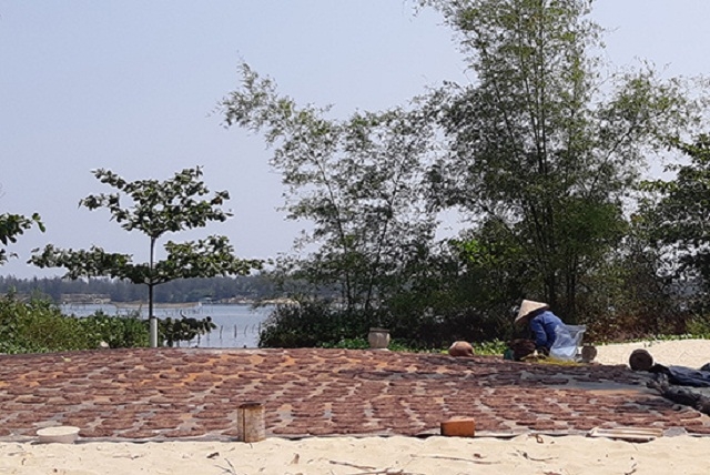 Rau câu chỉ vàng được sản xuất theo phương thức truyền thống với quy mô nhỏ lẻ, manh mún nên cần được đầu tư chế biến sâu (Ảnh: TL)