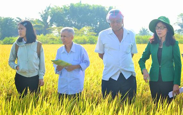 Các HTX đóng góp tích cực trong xây dựng NTM tại Trà Vinh (Ảnh TL)