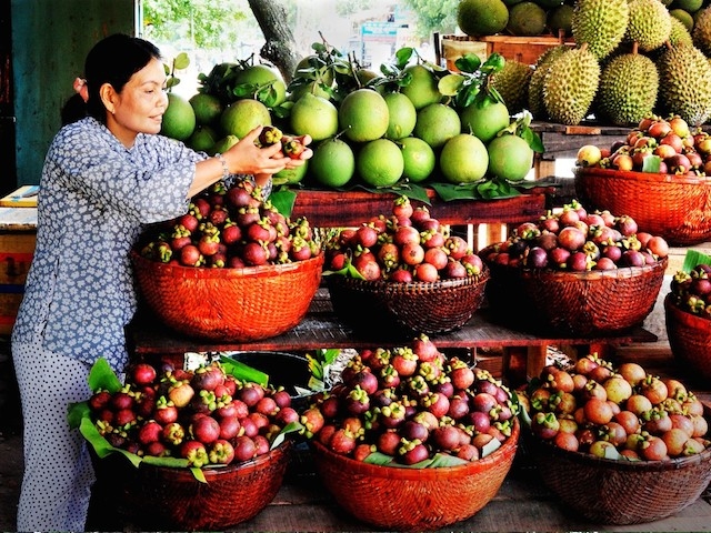 HTX dịch vụ nông nghiệp An Sơn kỳ vọng đưa măng cụt xuất ngoại.