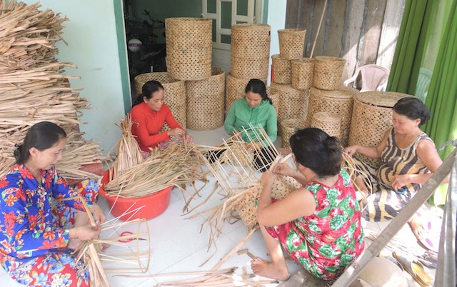 Nhiều HTX giải quyết việc làm cho phụ nữ ở nông thôn