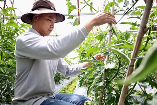 Giám đốc Nguyễn Thái Sơn có niềm đam mê cháy bỏng với nông nghiệp sạch (Ảnh: Tư liệu)