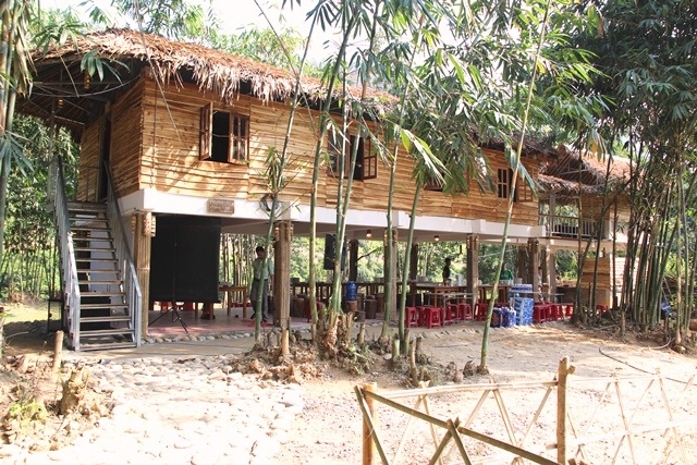 Homestay được bao quanh bởi những rặng tre (Ảnh: TL)