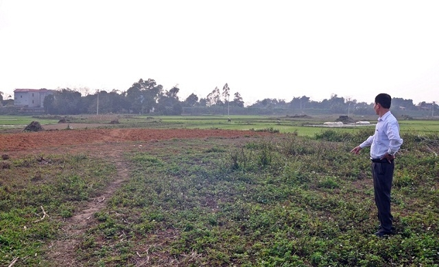 Huyện Sông Lô cần có phương án quy hoạch bãi xử lý rác thải tập trung cho HTX (Ảnh: TL)