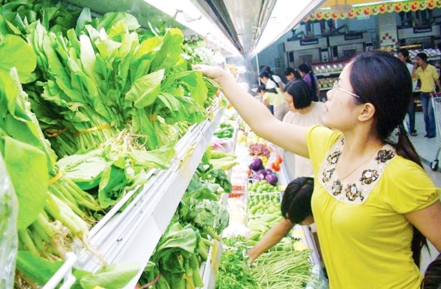 Nhờ sản xuất sạch, sản phẩm rau an toàn tại Phước Vân có chất lượng cao, được khách hàng tin dùng (Ảnh TL)