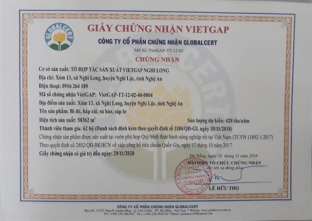 Tổ hợp sản xuất VietGAP Nghi Long được cấp giấy chứng nhận sản xuất bí đỏ, bắt cải, su hào, súp lơ theo tiêu chuẩn VietGap (Ảnh: TL)