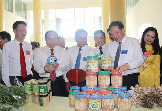 Lãnh đạo Liên minh HTX Việt Nam và lãnh đạo Tỉnh uỷ, UBND tỉnh Hải Dương thăm các gian hàng trưng bày nông sản đặc trưng tại Đại hội