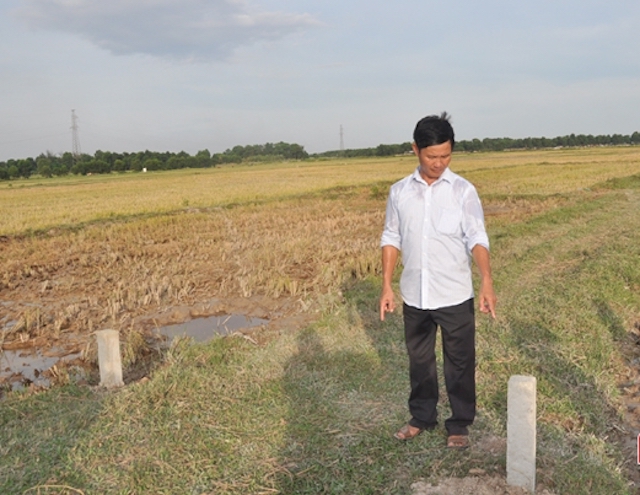 HTX Nông nghiệp và Dịch vụ tổng hợp Bắc Sơn cắm mốc xây dựng cánh đồng mẫu lớn (Ảnh: TL)