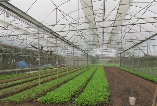 Sản xuất sạch giúp bảo đảm an toàn lao động (Ảnh:TL)