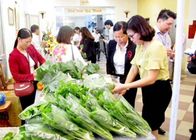 Nhờ chất lượng cao, rau an toàn Tân Sơn đang được tiêu thụ ổn định, tham gia nhiều hội chợ (Ảnh TL)