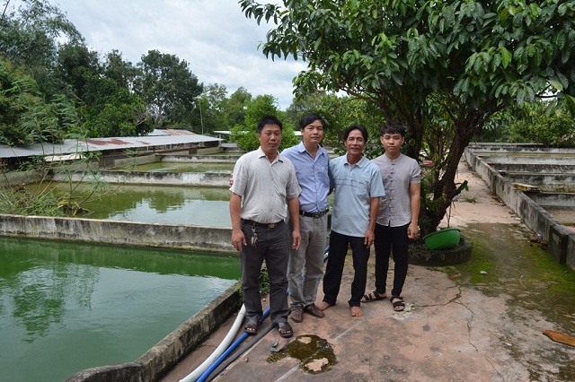 Các thành viên HTX Tân Hòa hiện nuôi khoảng 40.000 con ba ba thương phẩm (Ảnh: TL)