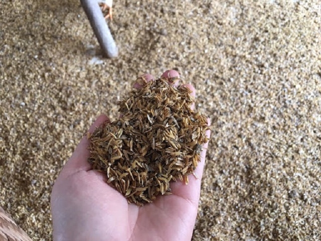 Nền đệm lót sinh học giúp xử lý mùi hôi, bảo đảm vệ sinh môi trường trong chăn nuôi (Ảnh:TL)