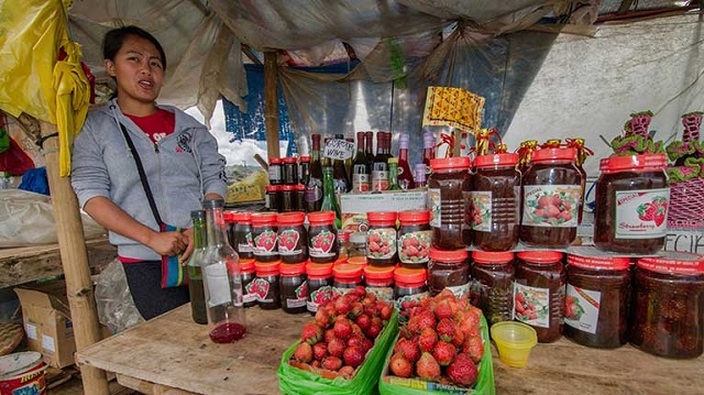 Khủng hoảng kinh tế do đại dịch COVID-19 ảnh hưởng nghiêm trọng đến thanh niên, đặc biệt là nữ giới