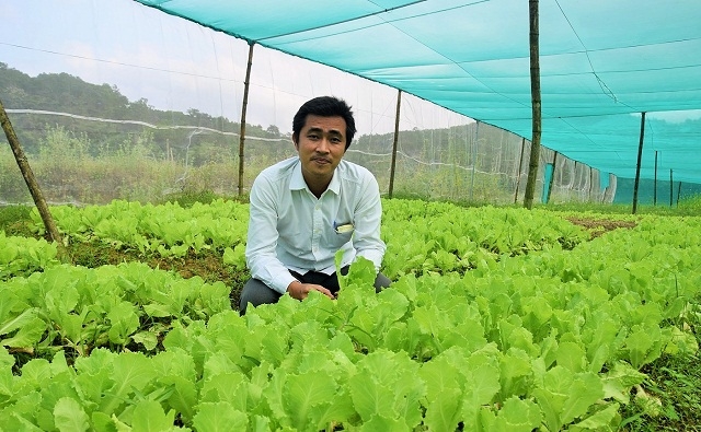 Giám đốc Nguyễn Quốc Sơn - HTX Nông nghiệp Tiên Châu bên vườn rau sạch của mình (Ảnh: TL)