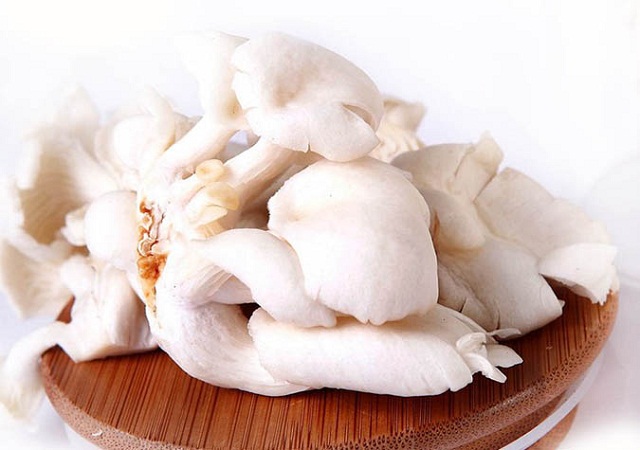 Sản xuất nấm bào ngư là ước mơ từ thời sinh viên của anh Cao Đình Thiện (Ảnh: TL)