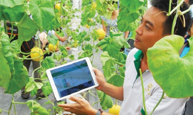 Tăng cường hỗ trợ, khuyến khích các HTX ứng dụng công nghệ cao, sản xuất gắn với chuỗi giá trị là giải pháp nâng cao giá trị nông sản hiện nay (Ảnh: TL)