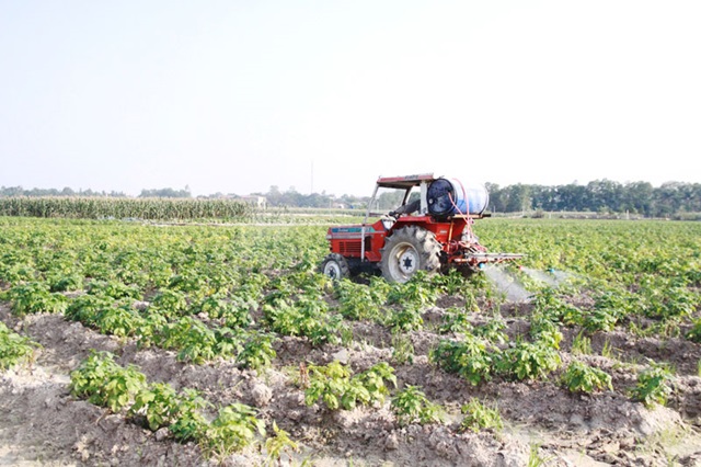 Hà Nội: Nâng hiệu quả hoạt động của HTX (Ảnh Internet)