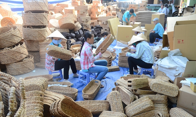 Huyện Cai Lậy thúc đẩy sinh kế cho lao động nông thôn thông qua việc đào tạo, dạy nghề