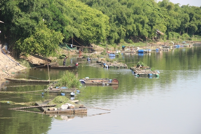 Nuôi cá lồng trên sông Bồ giúp HTX nông nghiệp Thủy Tân tăng thêm thu nhập hàng trăm triệu mỗi năm (Ảnh:TL)