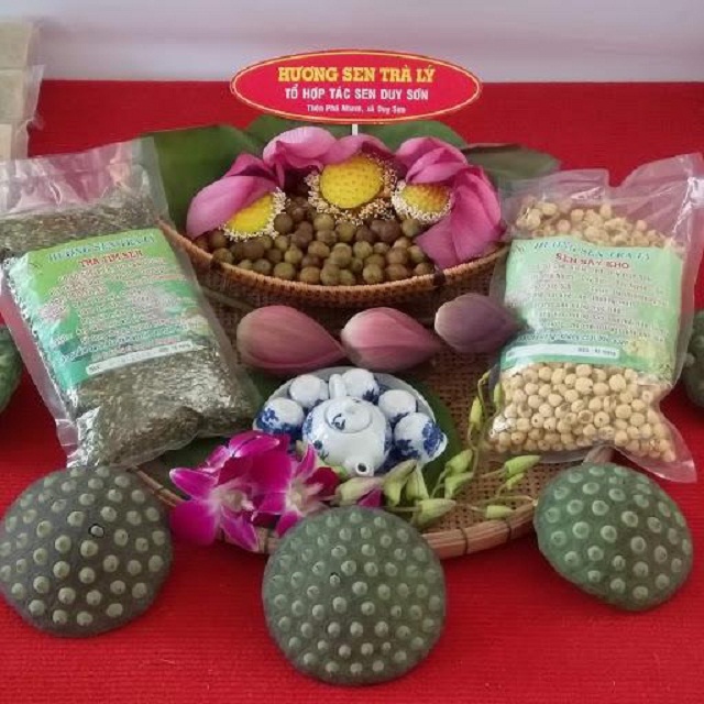 THT sen Duy Sơn ra đời nhằm phát triển thương hiệu sen Trà Lý (Ảnh: TL)