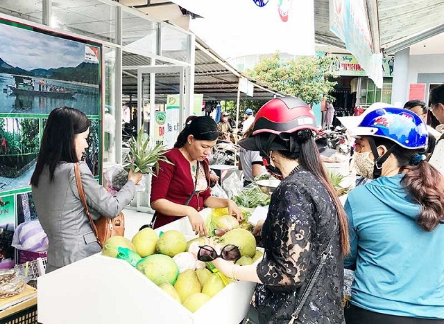 Bưởi trụ Đại Bình được ngưởi tiêu dùng tin tưởng lựa chọn (Ảnh: TL)