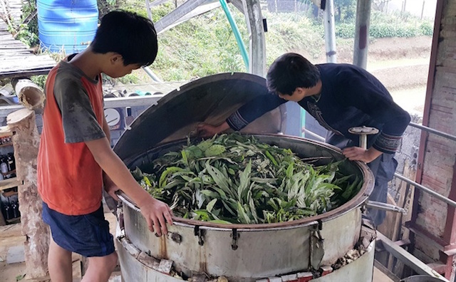 A Nủ hướng dẫn người dân các thao tác, quy trình để tạo ra sản phẩm tinh dầu (Ảnh: TL)