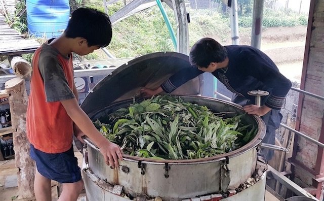 A Nủ hướng dẫn người dân các thao tác, quy trình để tạo ra sản phẩm tinh dầu (Ảnh: TL)