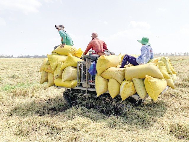 Nông dân Bạc Liêu cần “chuyên nghiệp hoá” trong sản xuất nông nghiệp